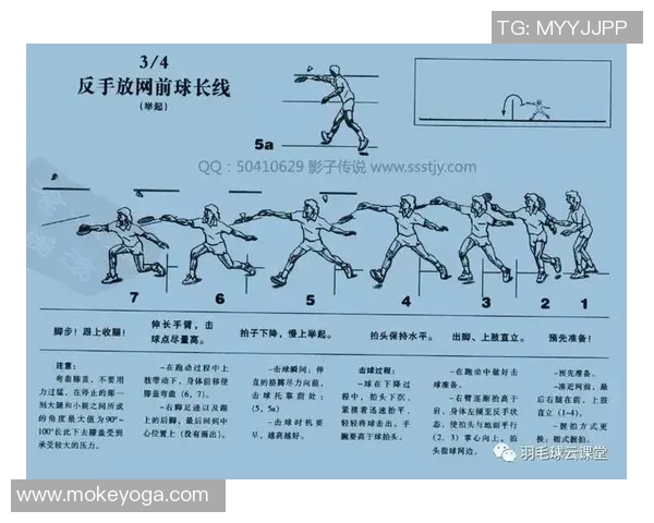从零基础到高手之路羽毛球技术全方位提升指南